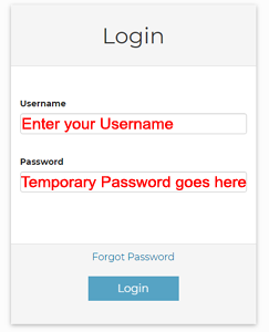 forgotPassword_enterTemp.png
